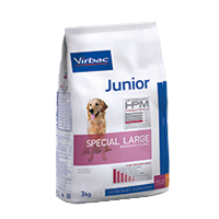 Junior Dog Special Large - Cani large & medium